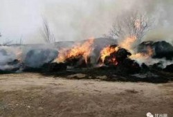 陆川最新火灾爆料,揭秘火灾背后惊人真相