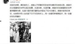 娱乐公司吃瓜事件真相,真相背后的惊人内幕