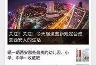 四川成都新闻线索爆料,揭秘成都某神秘项目背后的故事