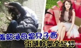张韶涵妈妈爆料的视频,揭秘背后真相